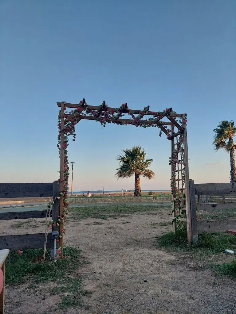 Lionel Vialle_Bisou_Fleury_review