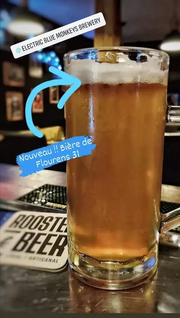 Menü_Brasserie Artisanale Electric Blue Monkeys_Flourens_Bild_1