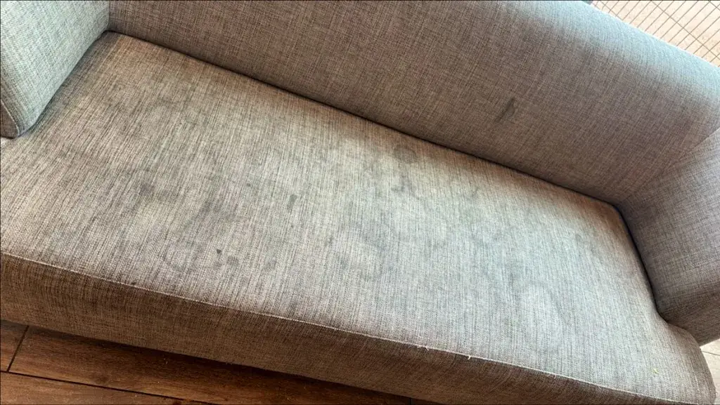 gaia cosmikali_Aire de Montpellier-Fabrègues Nord_Fabrègues_review