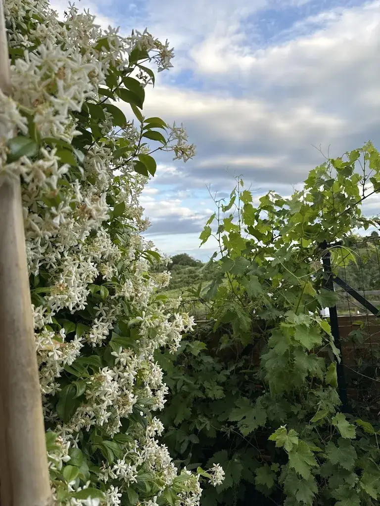 Amal Sanders_La Table de Tétouan - restaurant Marocain Juvignac-Montpellier_Juvignac_review