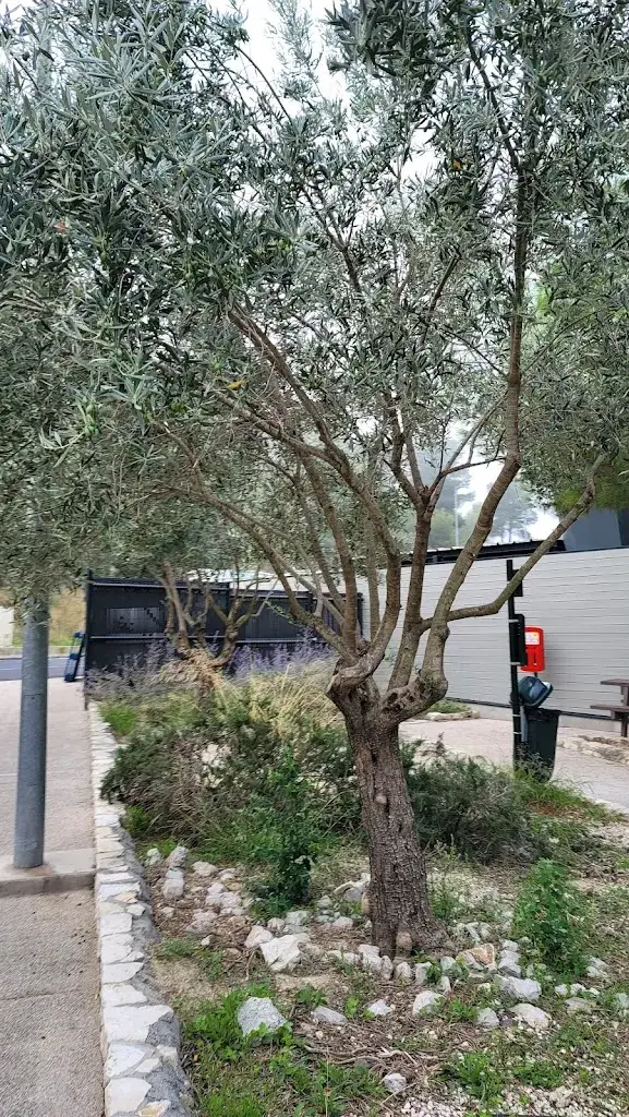 Aire de Montpellier-Fabrègues Sud_Fabrègues_slider_image_3