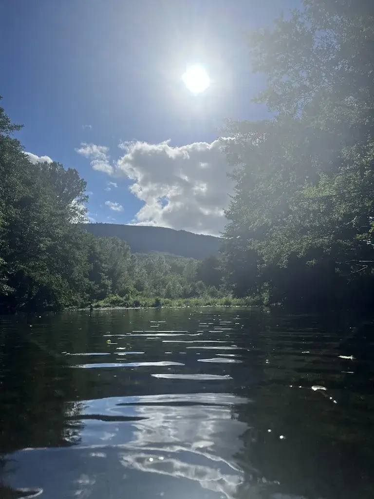 Sariah Jackson_Flower Camping Le Pont du Tarn, Lozere_Rivières_review