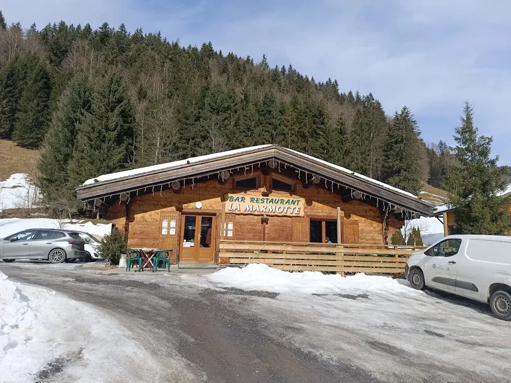 pluvinage nicolas_Restaurant La Marmotte_Grand-Bornand_review