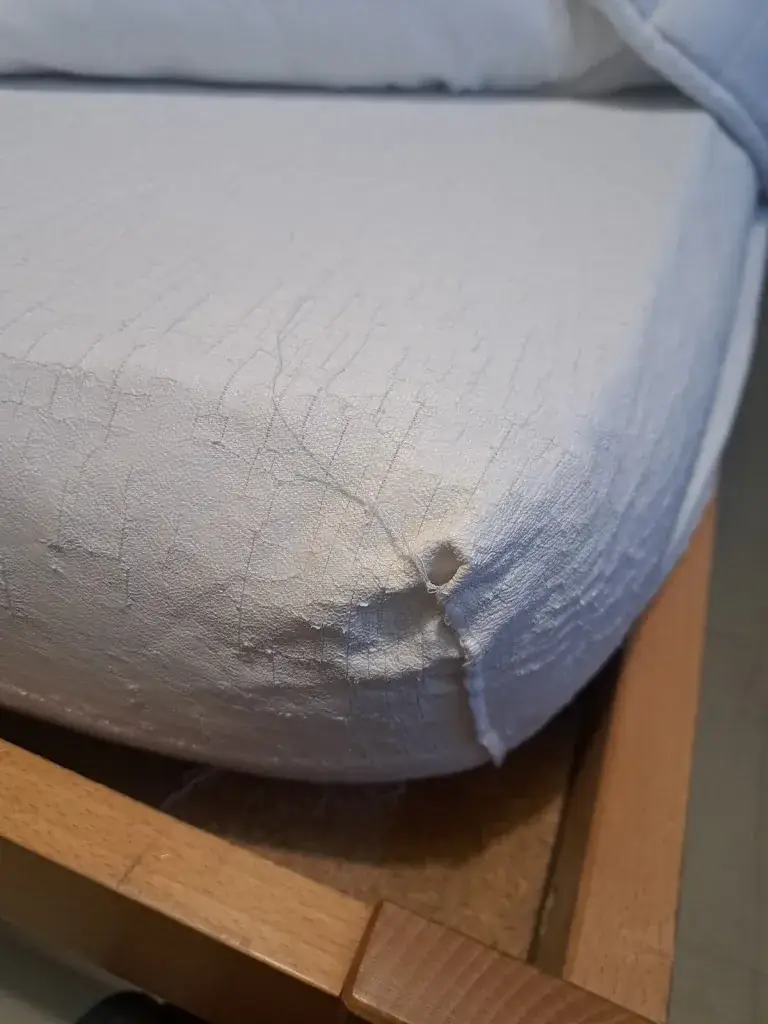 --_L'Étape_Rivières_review