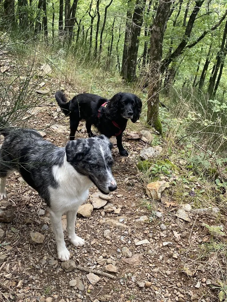 Blyth Fox_La Ferme des Cevennes_Rivières_review