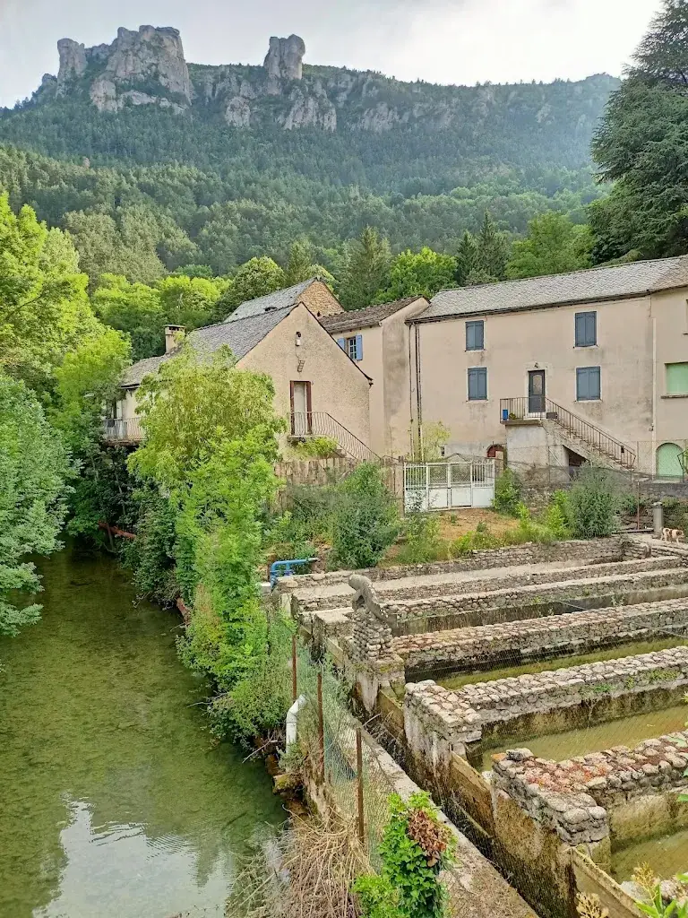 anouk dromen_Pisciculture de Florac_Rivières_review