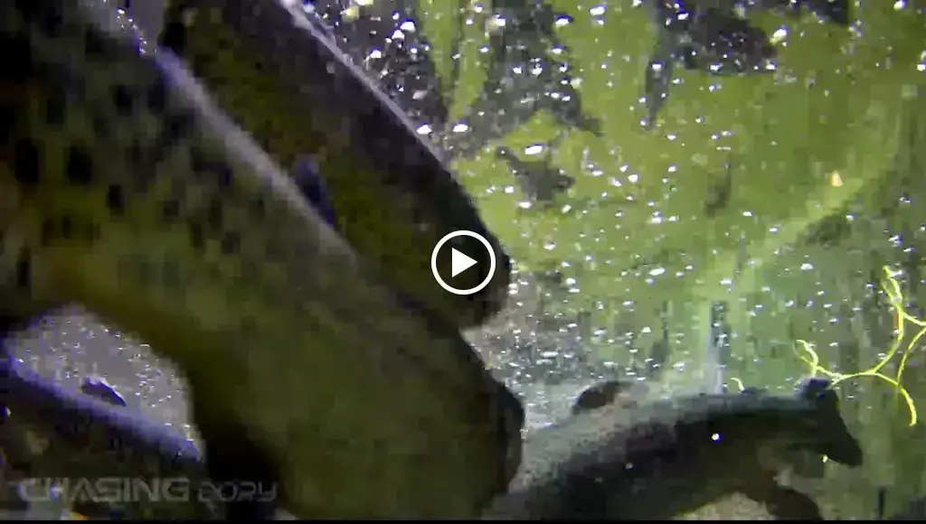 Pisciculture de Florac_Rivières_slider_image_2