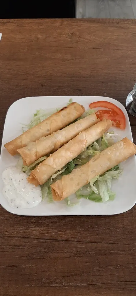 Menu_BLEU TURQUOISE_Fonsorbes_immagine_6