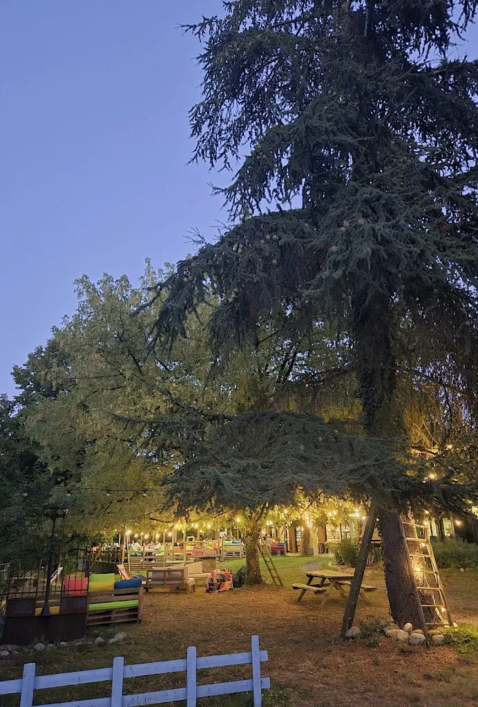 Vincent N._La Compagnie Albigeoise_Fauch_review