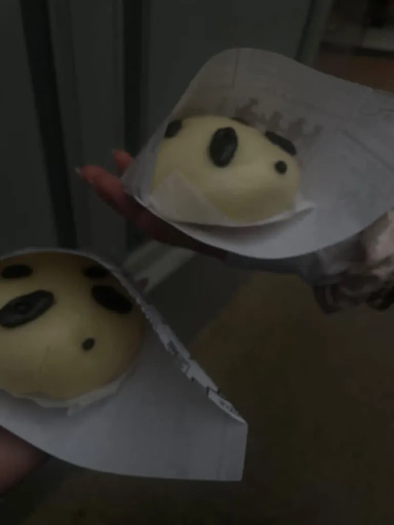 Jade DA COSTA_CHEZ DAJI_Foix_review