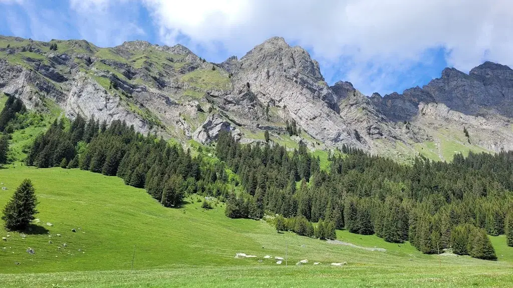 Lena Bereza_Solalex_Gryon_review