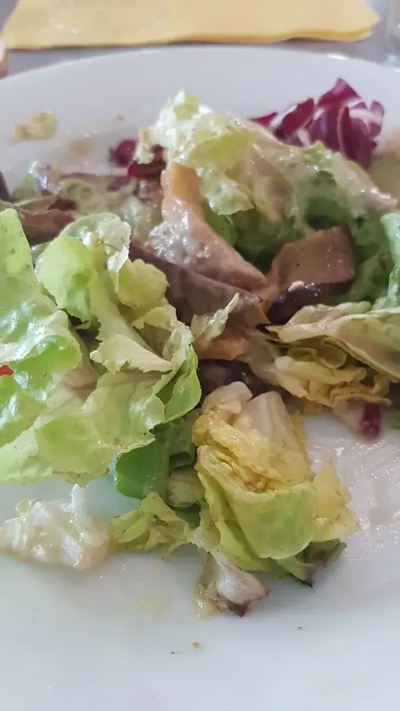 angyy djina_LA FONTAINE_Gagnac-sur-Garonne_review