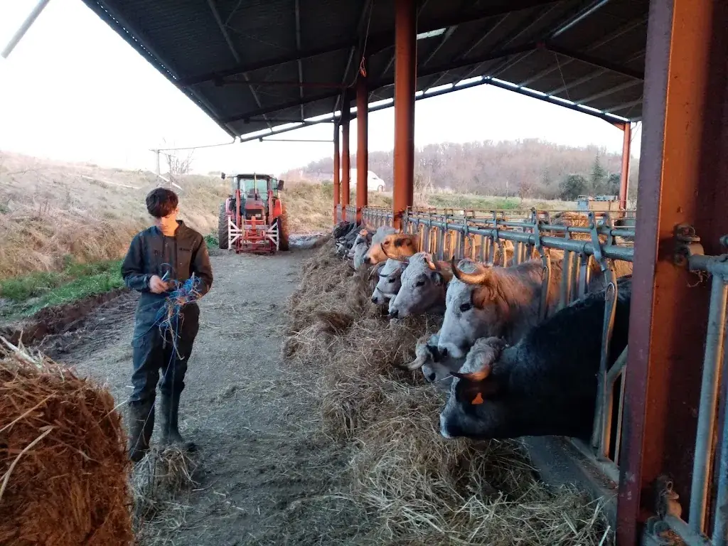 Ferme malterie brasserie GAEC LE TRIPTYK_Gaillac-Toulza_slider_image_3