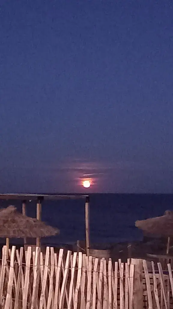 Al McFadzean_La Pirogue_Frontignan_review