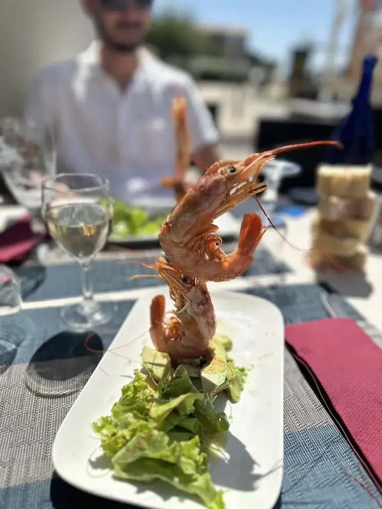 Sheila Navarro_L'Odyssée du Med_Frontignan_review