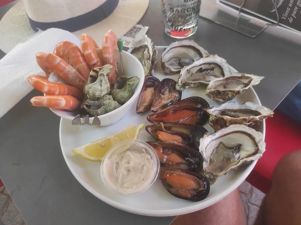 Will _C_OSTRÉA_Frontignan_recensione