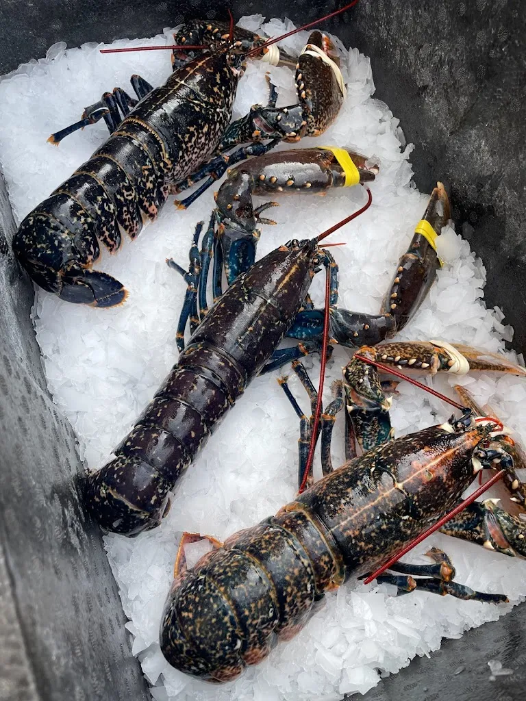 OSTRÉA_Frontignan_slider_image_3