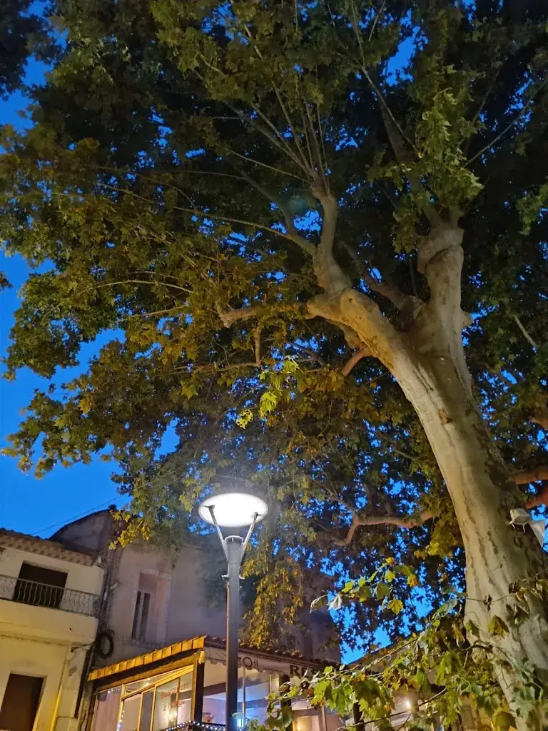 Laurent Labbay_La Table d'Emile_Gignac_review