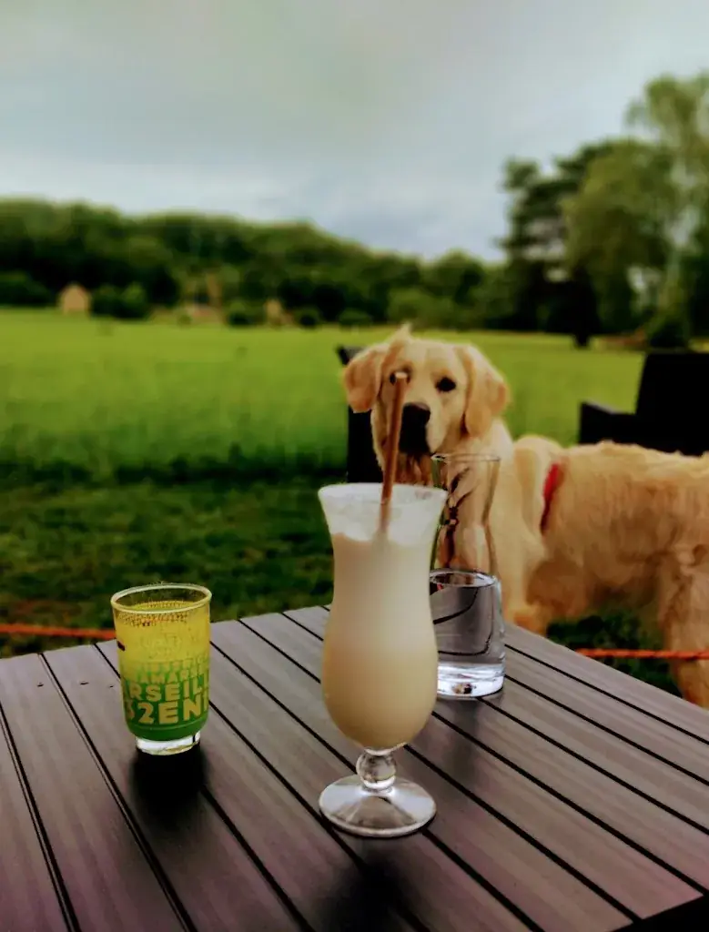 NANOT Charline_Le Repère Gourmand - LRG_Gignac_review