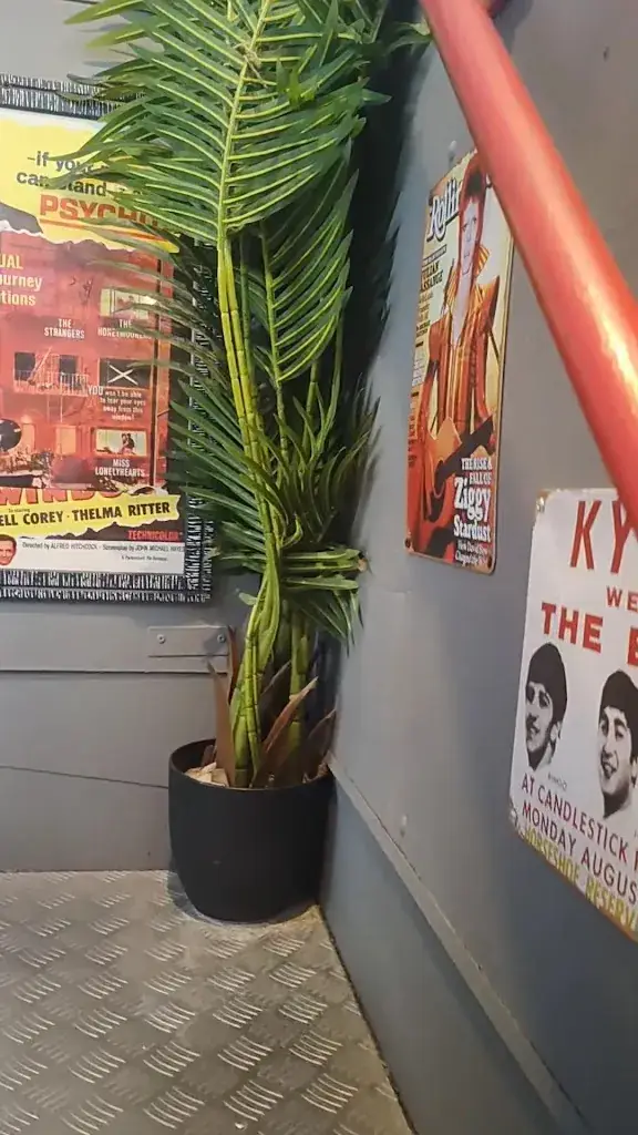 valerie leveque_Chez lucho, le bus du pizzaiolo_Giroussens_review