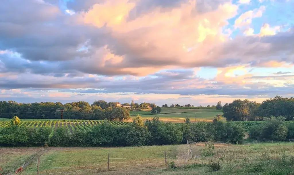 Marjorie Bnc_L' Auberge du cassou et ses animaux_Gondrin_review