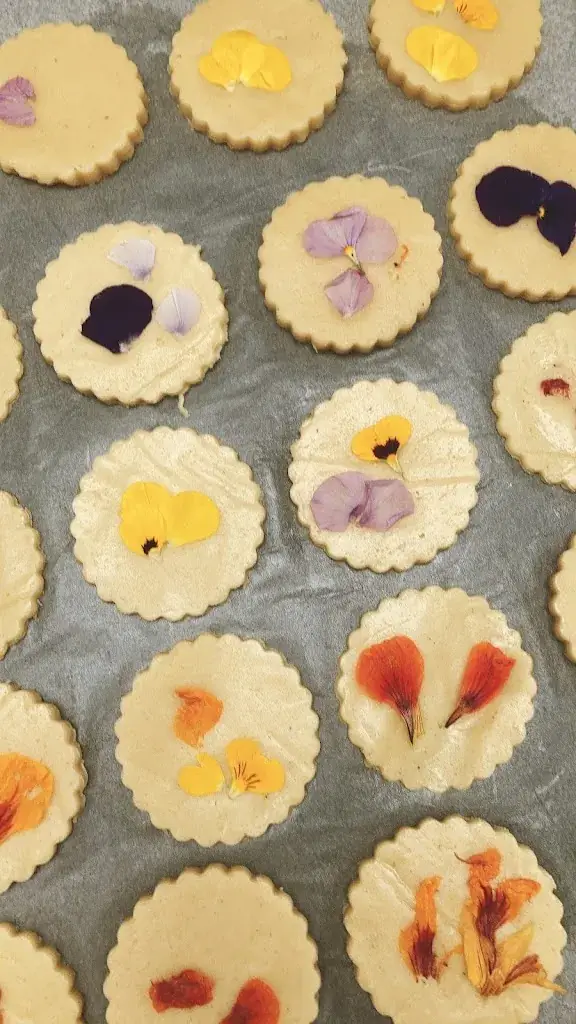 Menu_Vilain Glouton_Gaillac_image_8