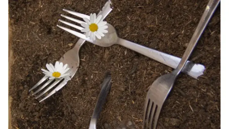 Vilain Glouton_Gaillac_slider_image_3