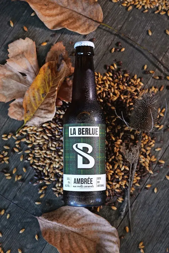 Menu_LA BERLUE / Bières artisanales et sodas bio_Gaillac_image_3