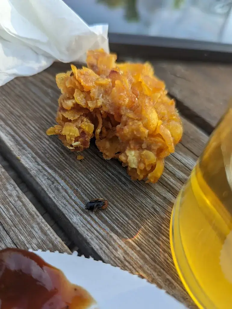 Menu_LA BERLUE / Bières artisanales et sodas bio_Gaillac_image_6