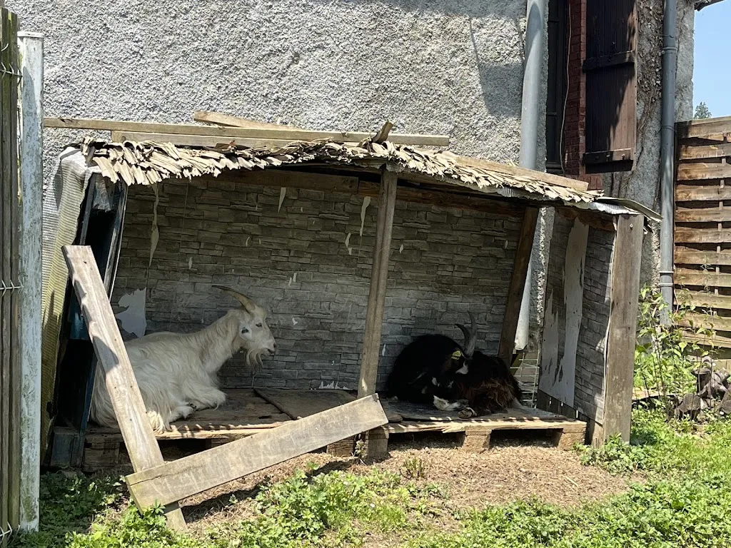 Veronique Peclat_Gc Restaurant_Montréjeau_Bewertung