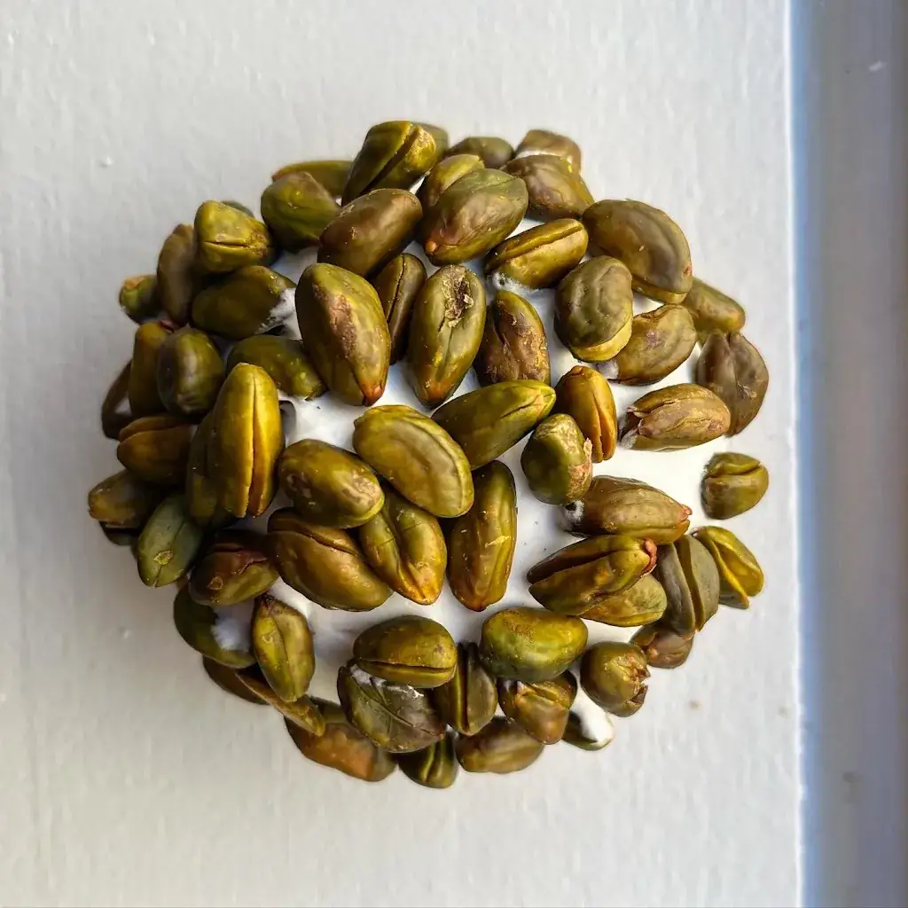 Menu_Gallou Patisse_Gimont_image_8