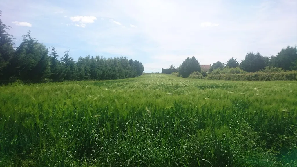 Croustad'Oc_Gimont_slider_image_1