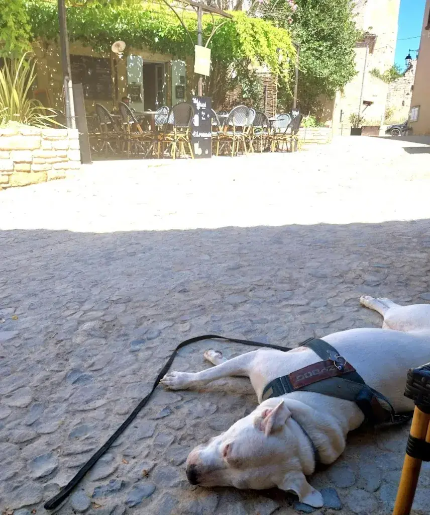 a. andriopoulos_Murier sur Cèze_Montclus_avis