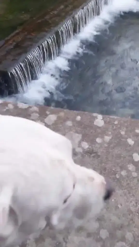 a. andriopoulos_Snack de l'Ecluse_Goudargues_recensione