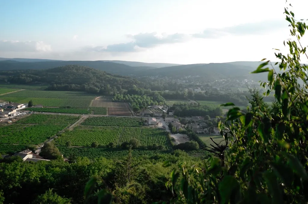 Jip Janneke_La Vieille Fontaine_Cornillon_review