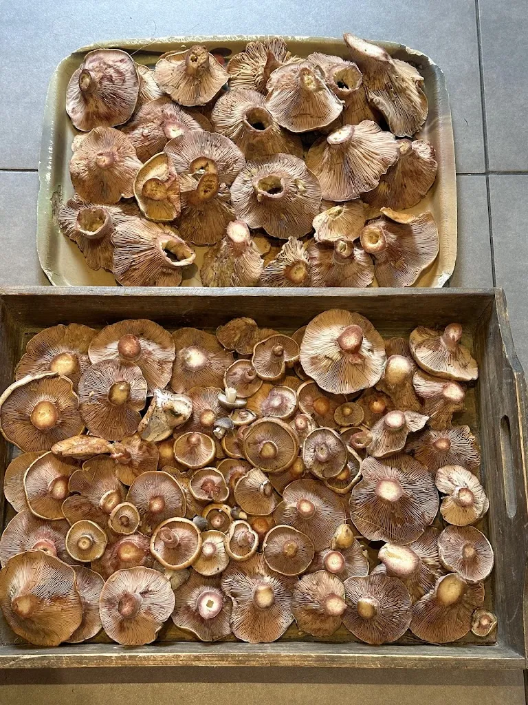 🧑‍🍳 AU VIEUX FOUR 👨‍🍳_Gourdon_slider_image_2