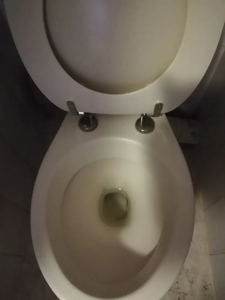 Florian_Logis Hôtel le Lion d'Or_Gramat_recensione