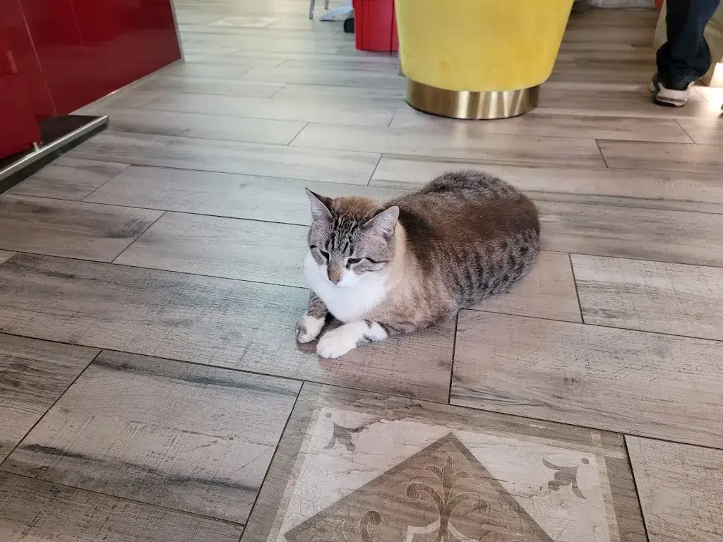 Mohammad Miri_Logis Hôtel du Centre_Gramat_review