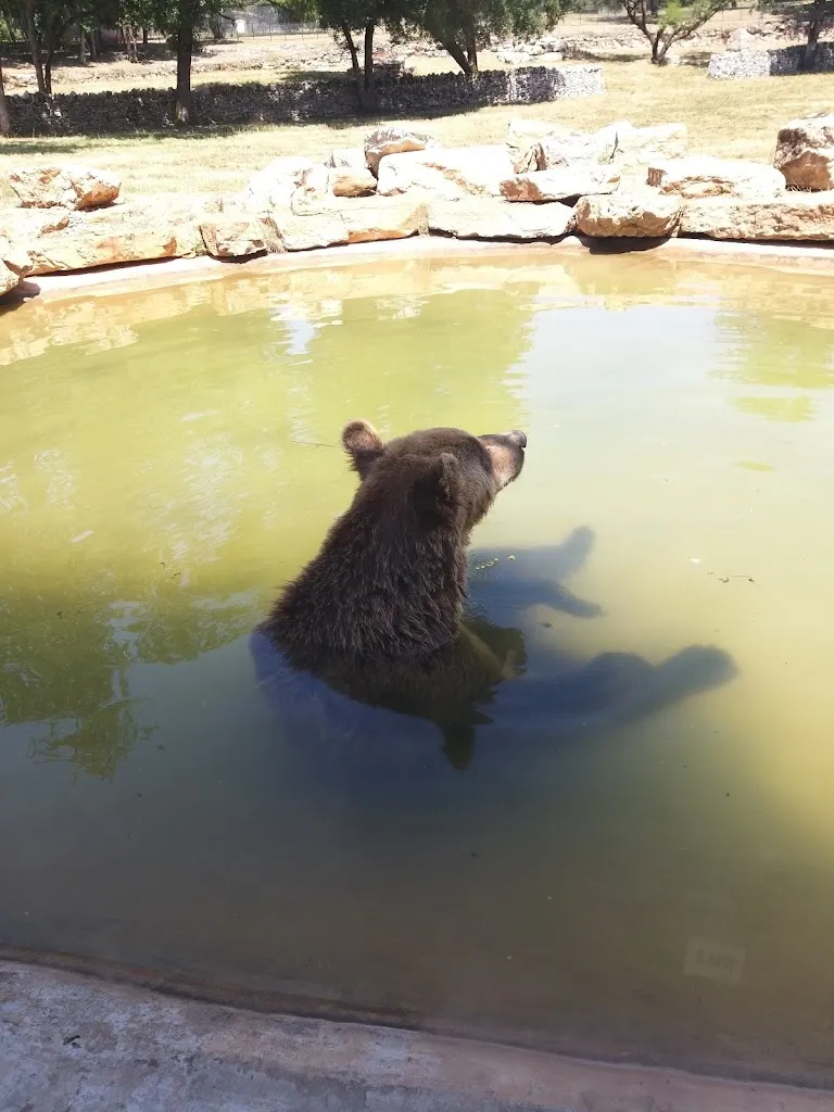 Pippa Tong_Animal Park of Gramat_Gramat_review