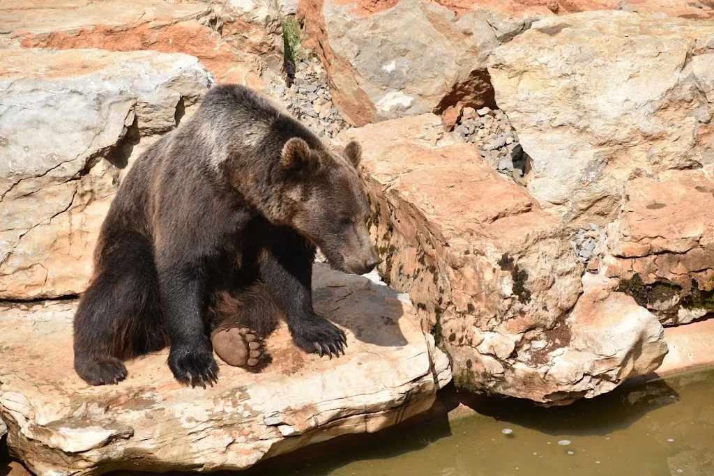 Luke Elliott_Animal Park of Gramat_Gramat_review