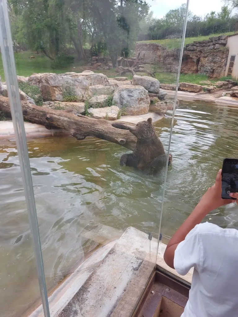 John Gray_Animal Park of Gramat_Gramat_review