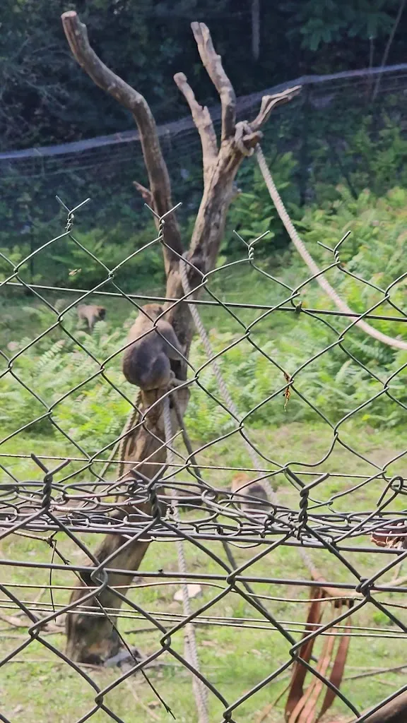 Animal Park of Gramat_Gramat_slider_image_2