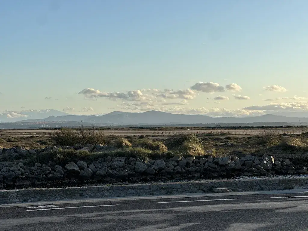 olga troshina_Restaurant les Chalets - Gruissan_Gruissan_review