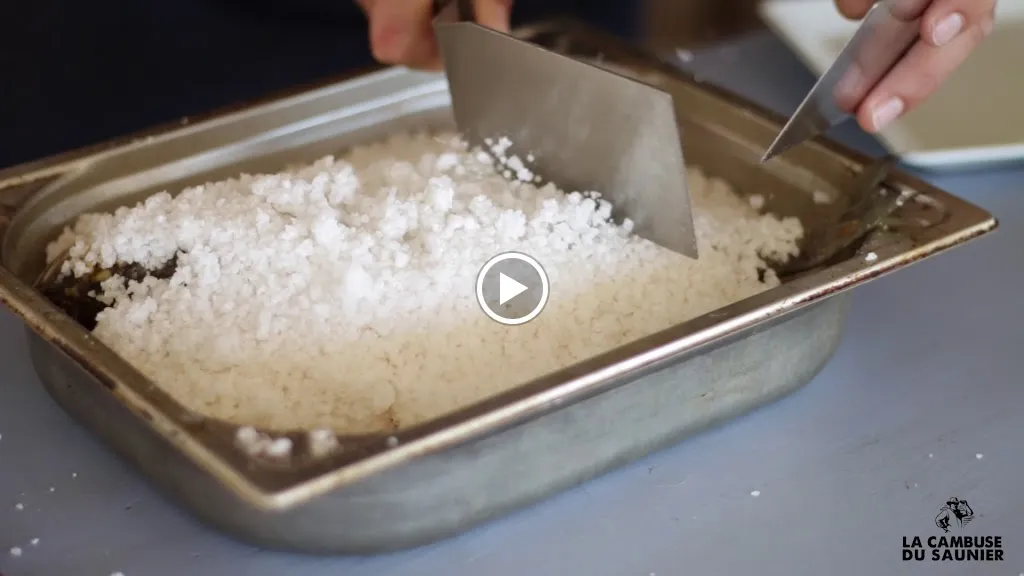 La Cambuse du Saunier_Gruissan_slider_image_2