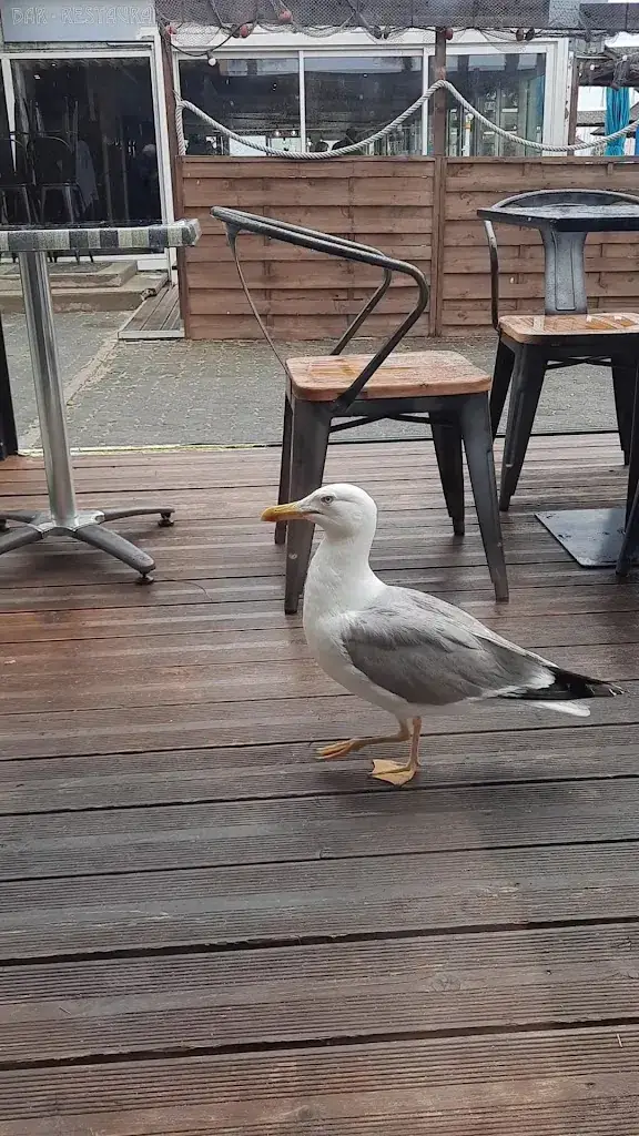 Il Téatro_Gruissan_slider_image_2