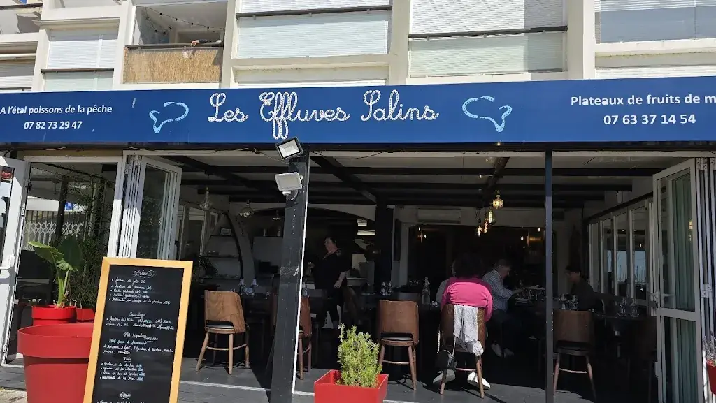 Jean-Paul Bicheyre_LES EFFLUVES SALINS_Gruissan_review