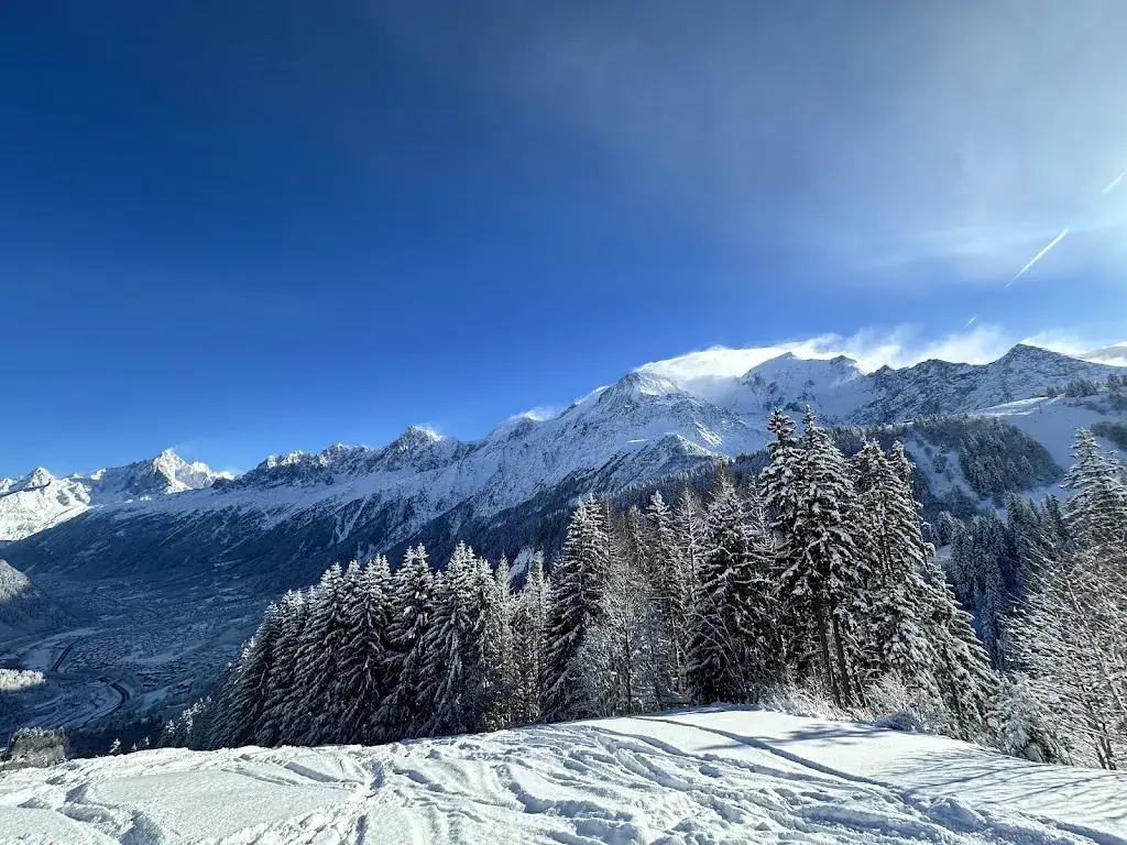 Pub Reviewer-UK_La fré mi_Houches_review