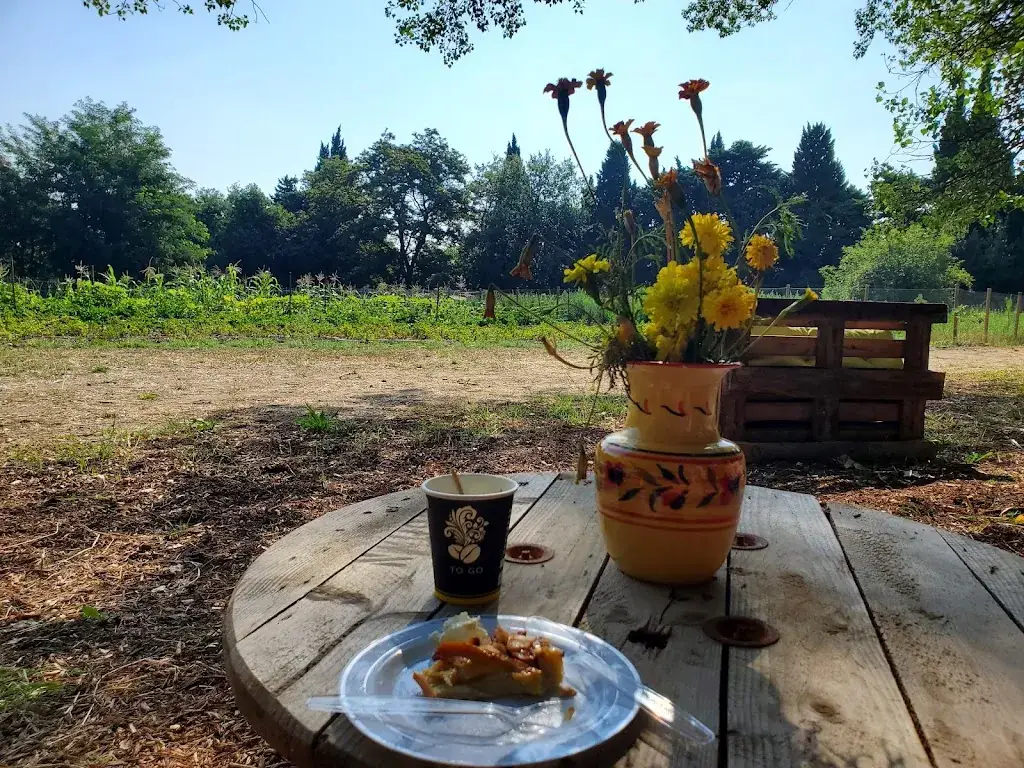 Vincent Yacoub_La ferme des orgues_Ille-sur-Têt_review