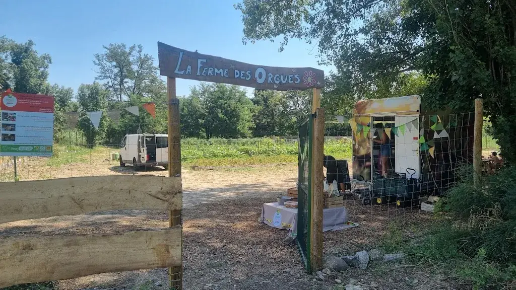 Lucie Bonnichon_La ferme des orgues_Ille-sur-Têt_review