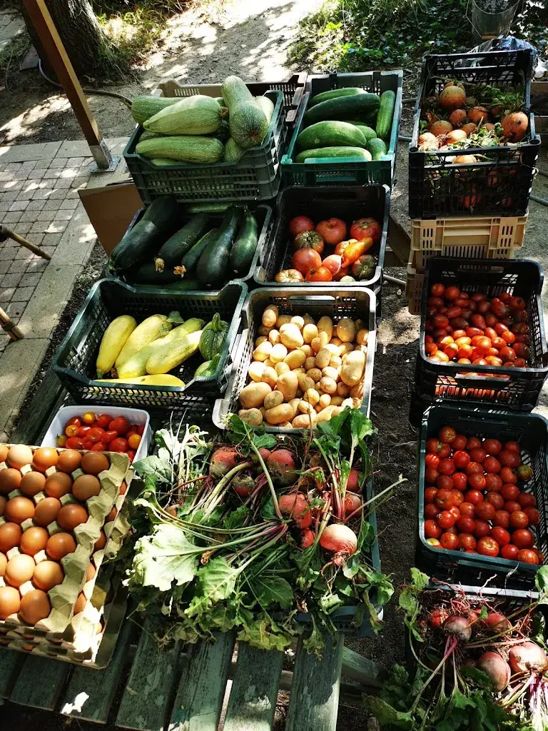 La ferme des orgues_Ille-sur-Têt_slider_image_2